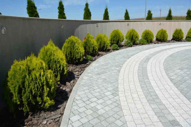 Best Driveway Pavers Near Me  in Lovell, WY